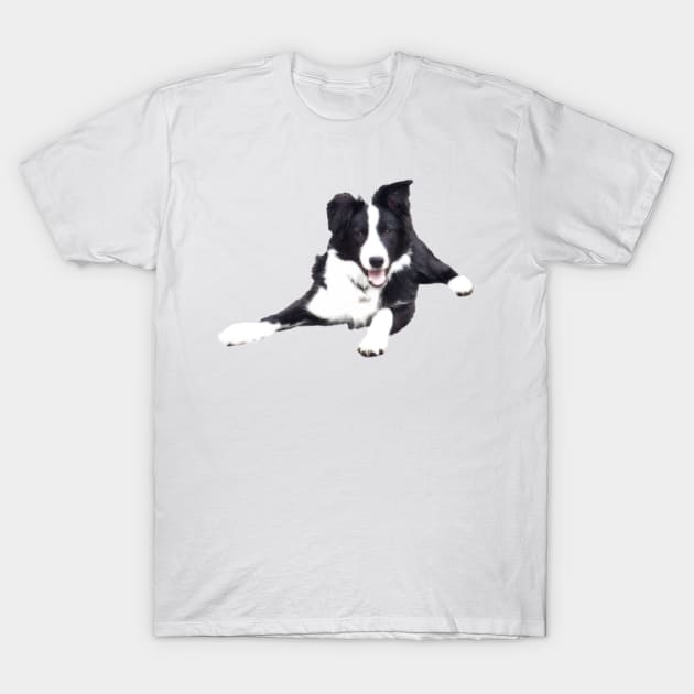 Border Collie on a white background T-Shirt by Furtographic